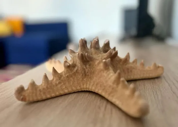 Casa Encanto In エリセイラ