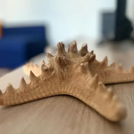 Casa Encanto In Ericeira